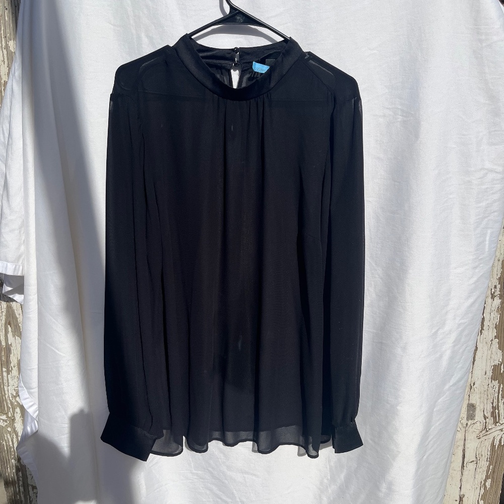Long sleeved, sheer black blouse